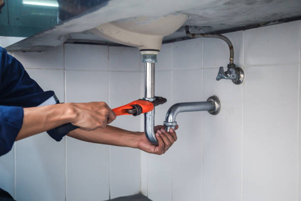 Best Clogged Drain Plumber  in Amherst, OH